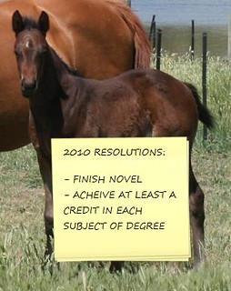 2010 Equine Related Goals