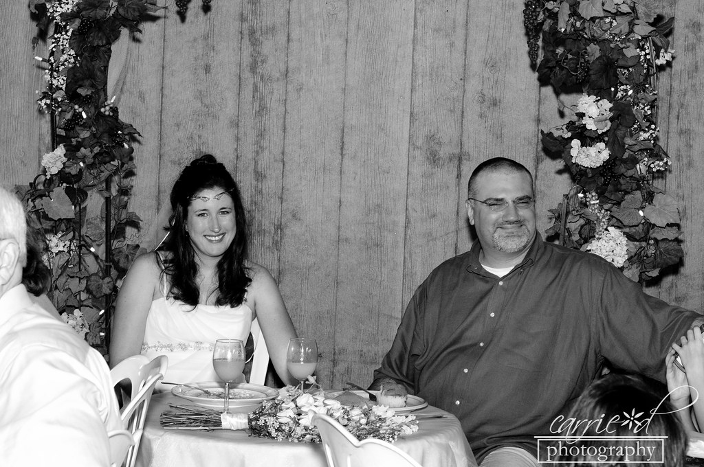 Maryland Wedding Photographer - Ostertag Vistas - Myersville, MD - Burton Wedding 9-2-2012 (825 of 578)BLOG