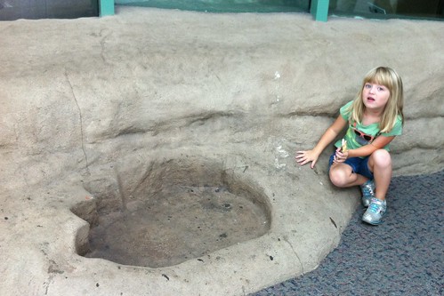 My future paleontologist poses with a dinosaur footprint.