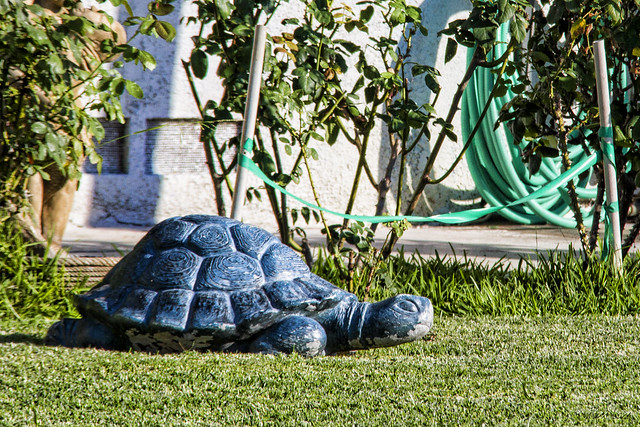 Yard art turtle
