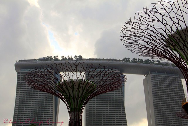 Gardens by the Bay Singapore below Marina Bay Sands - by Chic n Cheap Living