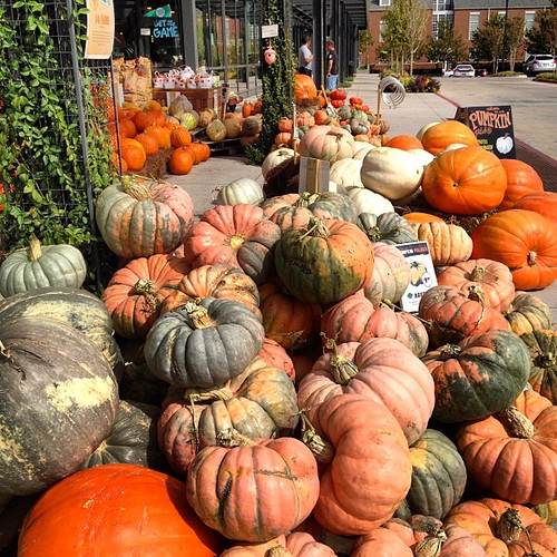 Whole Foods pumpkins