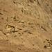 Mount Sinai impressions, Egypt - IMG_2395