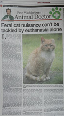 Ginga in the local paper
