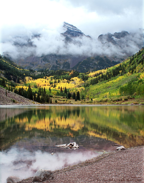 Famous Maroon Bells gives a brilliant fall display of Colorado aspens peaking in golden color.