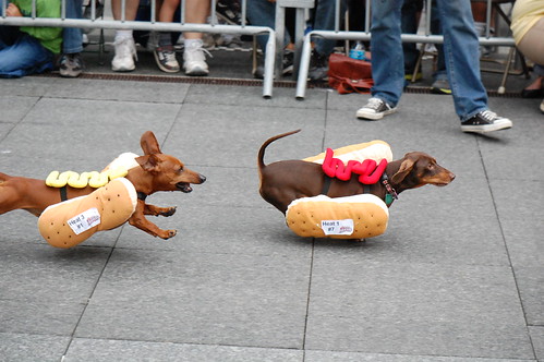 Running of the Weiners 2012