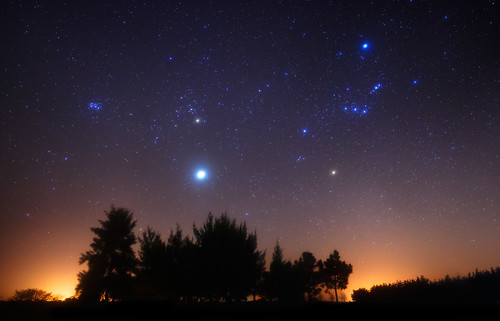 Orion and Jupiter over the Forest