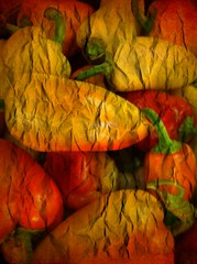 Vegetable - image 306 by dennisar