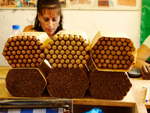 Cigars, Finca Tabequera el Sitio, Cigar Factory, Breña Alta, La Palma