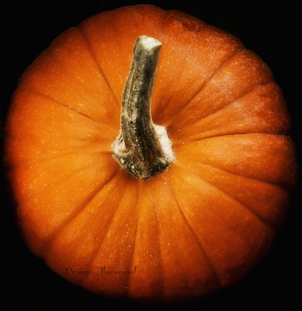 pumpkins_0910 copy