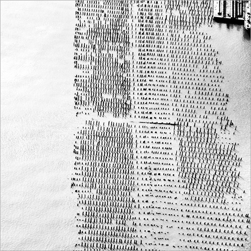 Hudson Pier by Dreamer7112