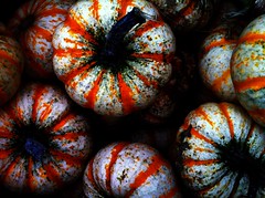 Gourd - image 362 by dennisar