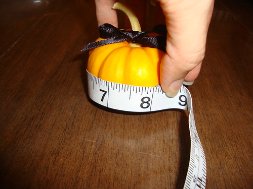 Pumpkin C harvested on 9/9/12