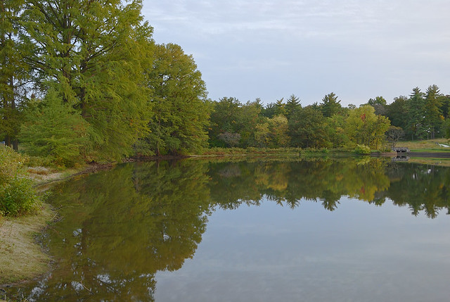 Shaw Nature Reserve (Arboretum), in Gray Summit, Missouri, USA - Pinetum Lake