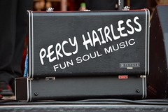 Percy hairless