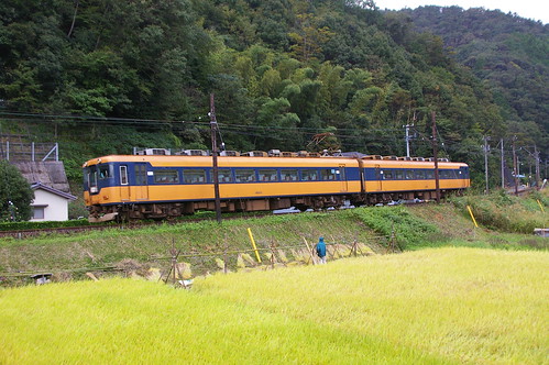 Oigawa Railway 16000 series near Fukuyo in Shimada, Shizuoka, Japan /Oct 7, 2012