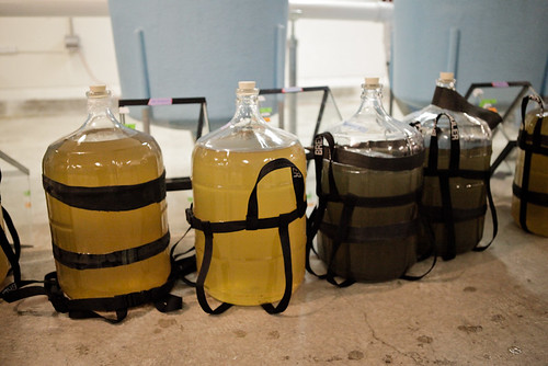 Carboys of runoff