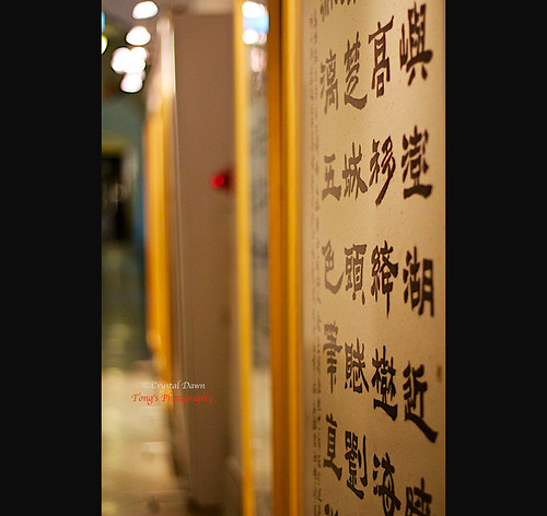Chinese Calligraphy by © Crystal Dawn Photography