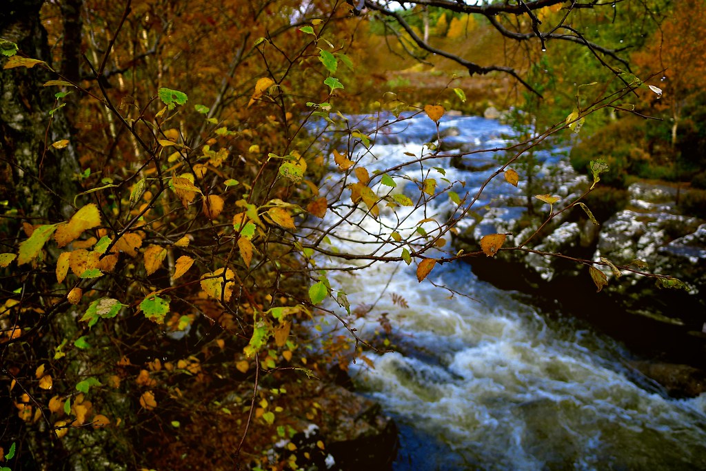 Quoich Water in Autumn