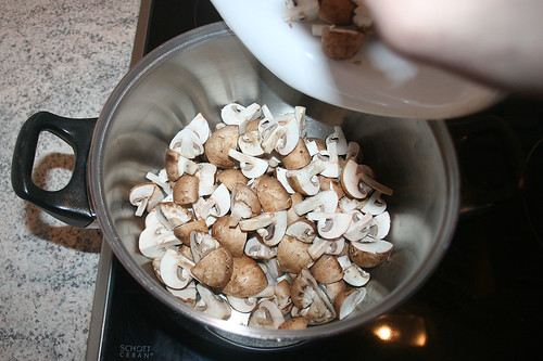 19 - Pilze hinzufügen / Add mushrooms