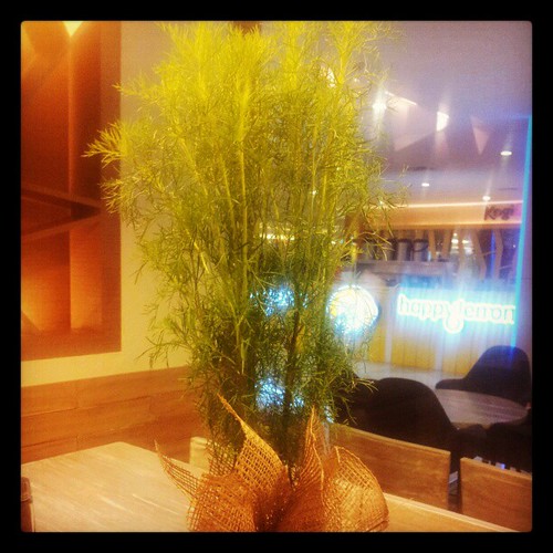 dill on the table