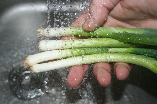 17 - Frühlingszwiebeln waschen / Clean spring onions