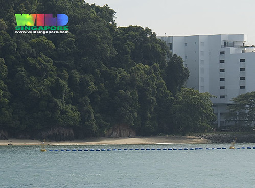 Floating security barrier in front of Sentosa's natural shores