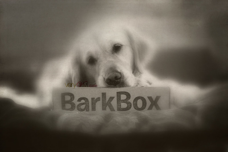What's A BarkBox?