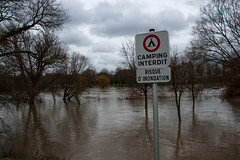 La Moselle - Promenade du Quai Paul Wiltzer - Risque d'inondation