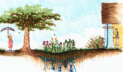 section rendering of green infrastructure (by: Shengnan An, courtesy of UC Davis)