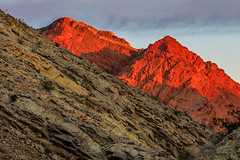 Pinto Valley Wilderness (Lake Mead NRA)