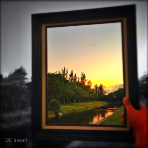 57:365 Framed by elineart