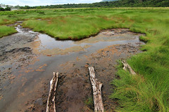 Semliki National Park