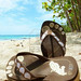 Flip Flops on Tropical Beach © Bluelight