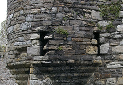 Beaumaris Castle - 2008