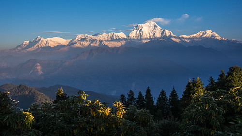 Annapurna range from the path between Gorephani and Tadapani #1