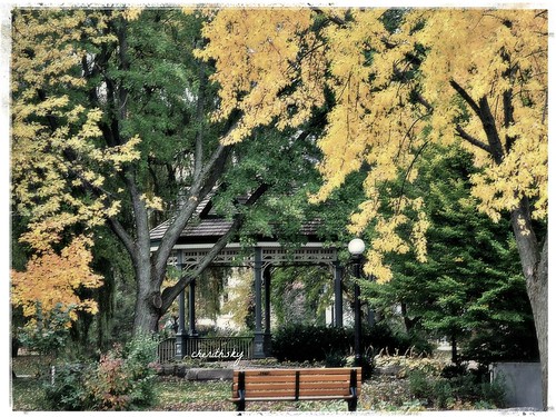 autumn oasis by cherithsky