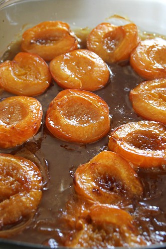 Roasted Apricot Gelato 2