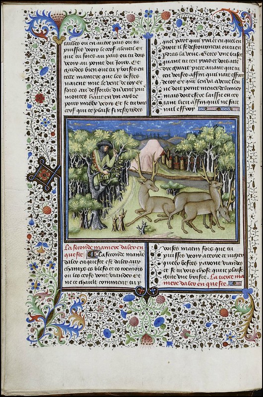 15th century illuminated manuscript miniature: Henri de Ferrières, Les Livres du roy Modus et de la royne Ratio 19