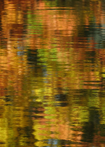 Reflected Autumn Colors