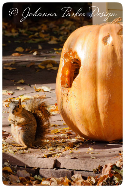 Little-Squirrel-&-Pumpkin-1
