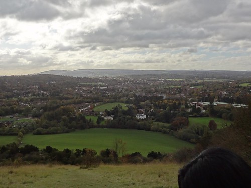 Views of Surrey Hills