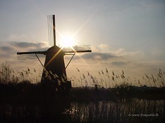 Typical Dutch Windmills - Kinderdijk, Holland