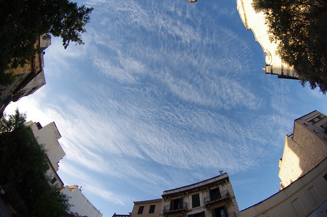 El cielo se asoma./ The sky looks at.