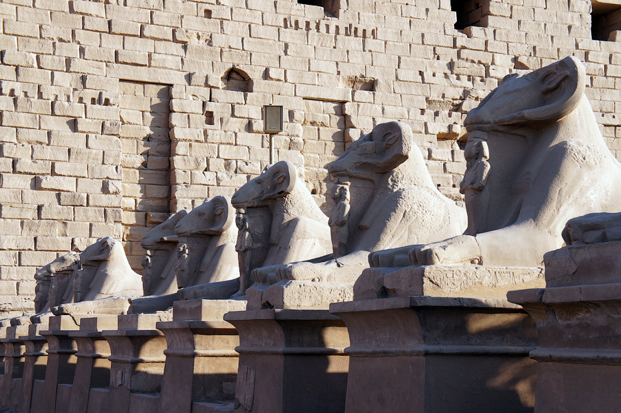Бараны-сфинксы при входе в храм Карнак, Египет