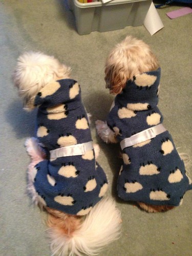 New Coats for Daisy and Minnie