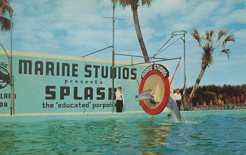 Marineland, Florida by The Pie Shops Collection
