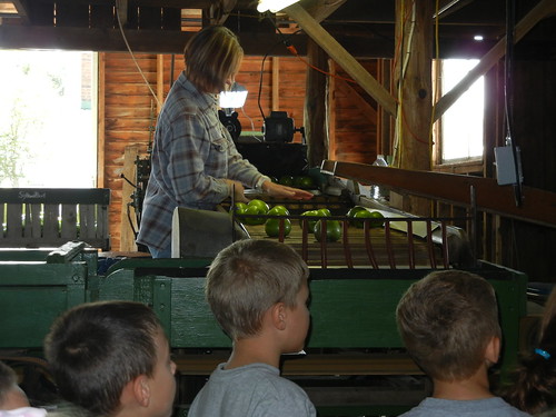Sept 25 2012 Showalter Orchard Kindergarten Field Trip (6)