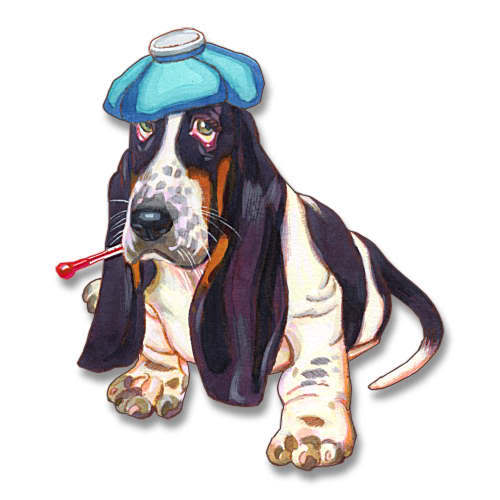 Don't let yourself feel like a sick basset hound.