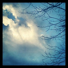 Morning #sky after #Sandy #newhampshire #clouds #tree #fall #newengland #picoftheday #sun
